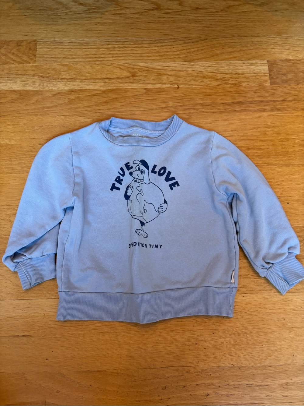 Kids 'True Love' Light Blue Pullover Sweatshirt